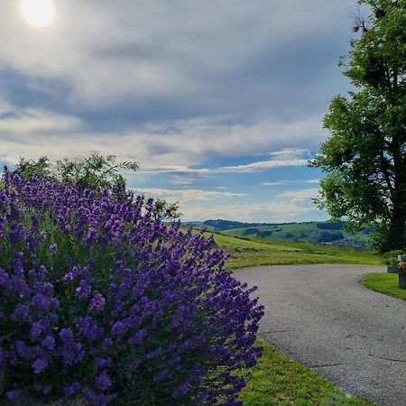Appartamento Unterbrandlberg Steinbach an der Steyr Esterno foto