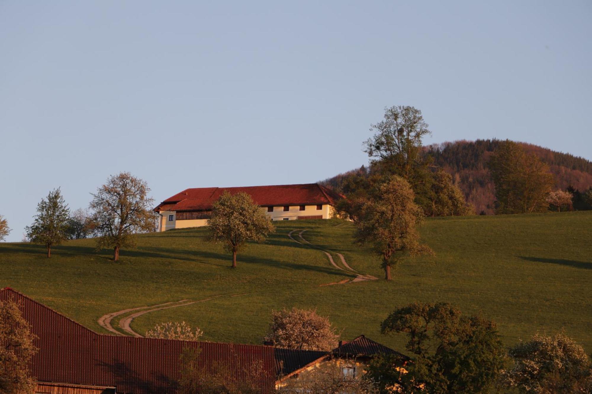 Appartamento Unterbrandlberg Steinbach an der Steyr Esterno foto
