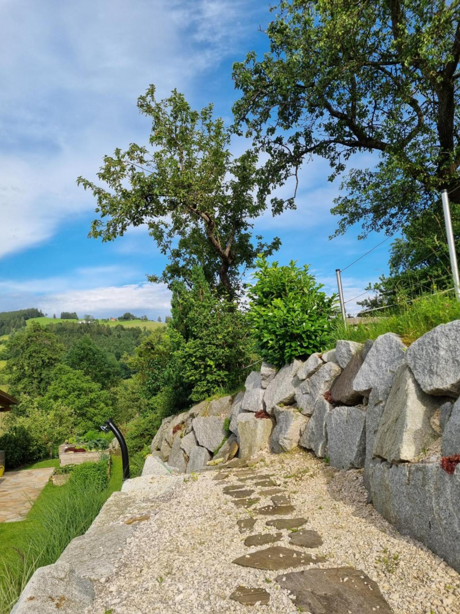 Appartamento Unterbrandlberg Steinbach an der Steyr Esterno foto